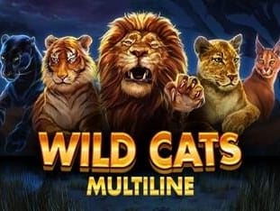 Wild Cats Multiline screenshot